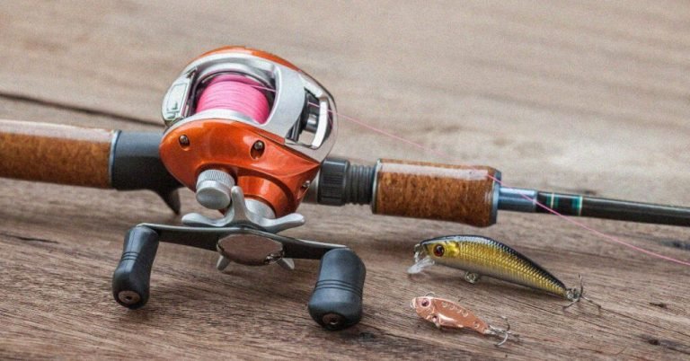 8 Best Budget Fishing Reels under 100 in 2026