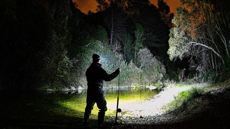 8 Best Fishing Headlamps for Night Fishing in 2026
