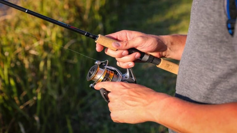 8 Best Spinning Reels for Freshwater Fishing in 2026