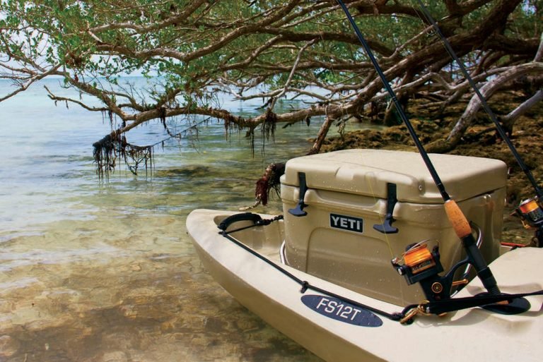 8 Best Fishing Coolers for Day Trips in 2026