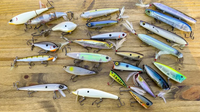 8 Best Fishing Lures for Topwater Action in 2026