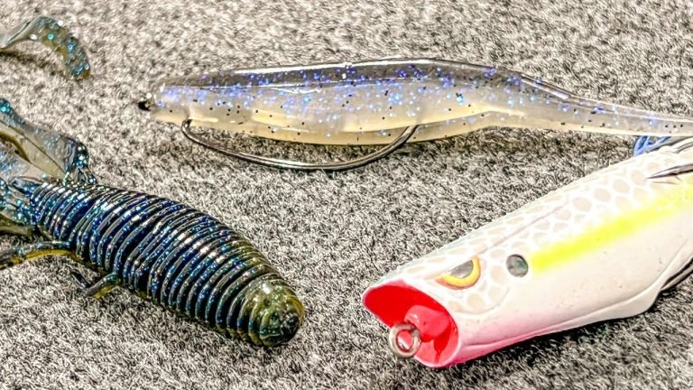 8 Best Fishing Lures for Pond Fishing in 2026