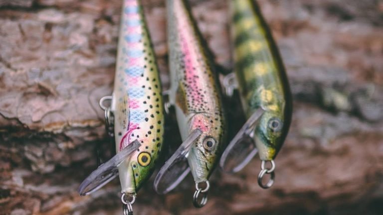 8 Best Fishing Lures for Trout Streams in 2026