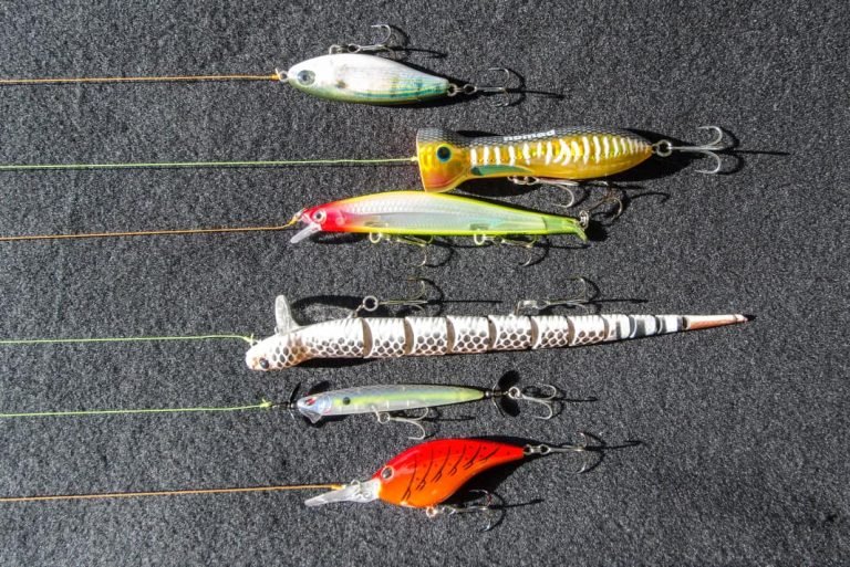 7 Best Fishing Lures for Cold Water in 2026