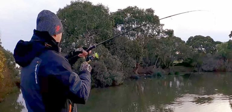8 Best Graphite Fishing Rods for Sensitivity in 2026
