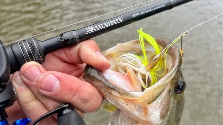 8 Best Medium Heavy Fishing Rods for Bass in 2026