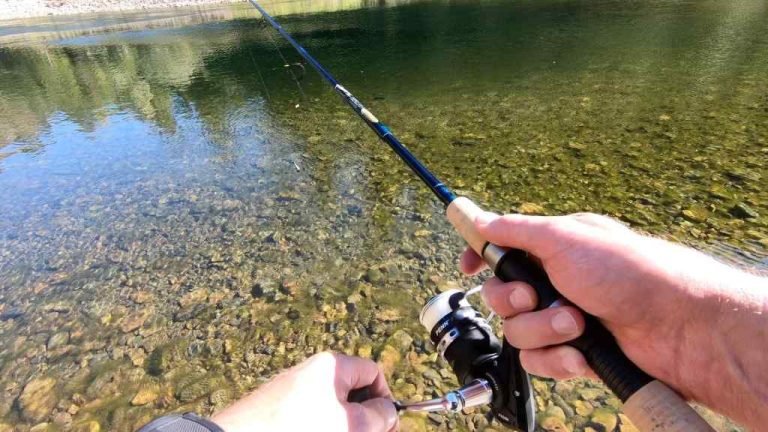 8 Best Fishing Reels for Lake Fishing in 2026