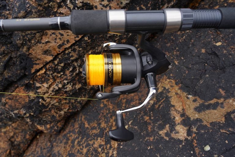 8 Best Fishing Reels for Smooth Drag in 2026