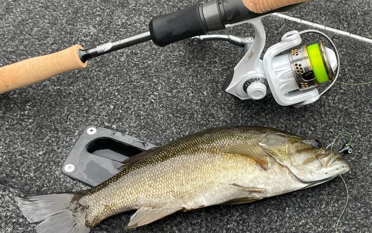 8 Best Ultralight Fishing Reels for Trout in 2026