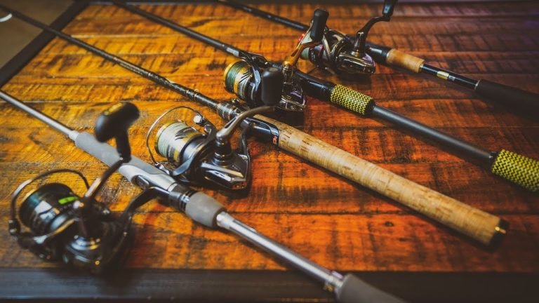8 Best Fishing Rods for Beginners in 2026