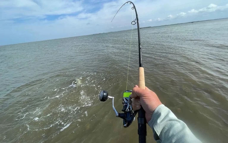 8 Best Fishing Rods for Inshore Saltwater in 2026