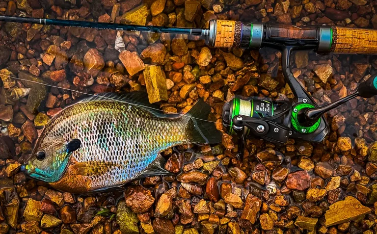 8 Best Ultralight Fishing Rods for Trout in 2026