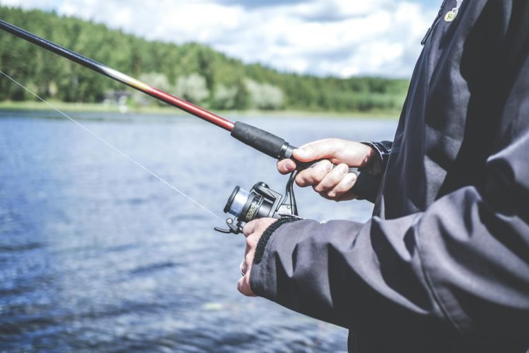 8 Best Fishing Rods for Lake Fishing in 2026