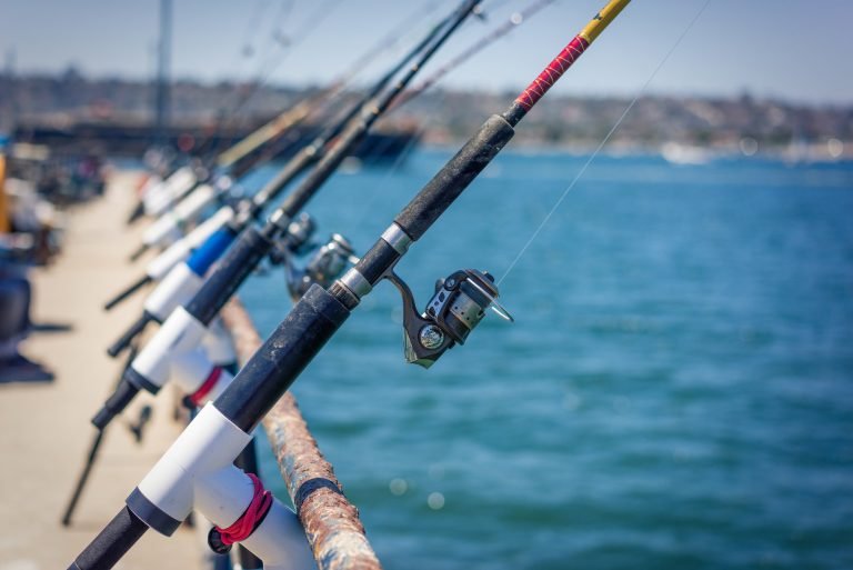 4 Best Fishing Rods for Pier Fishing in 2026
